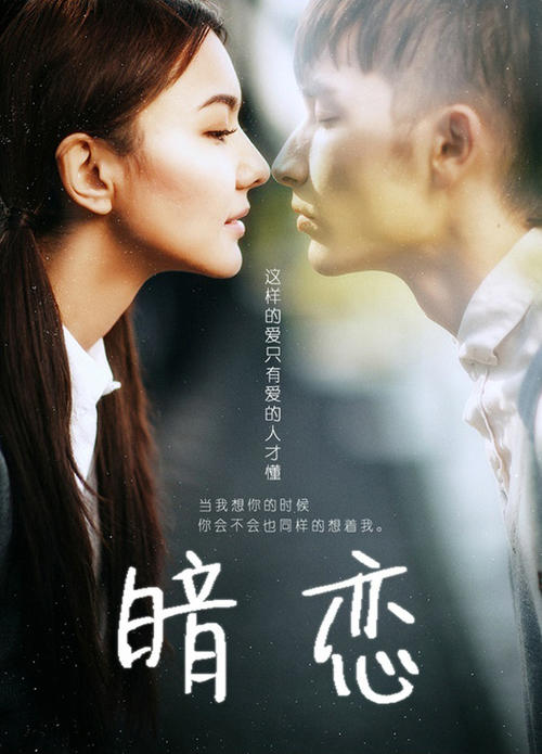 佛罗伦萨美院degree certificate